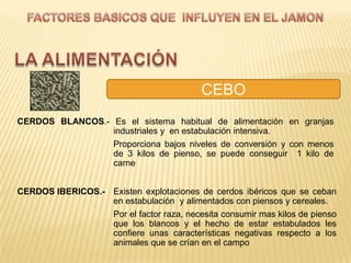 CEBO
CERDOS BLANCOS.- Es el sistema habitual de alimentación en granjas
                 industriales y en estabulación intensiva.
                 Proporciona bajos niveles de conversión y con menos
                 de 3 kilos de pienso, se puede conseguir 1 kilo de
                 carne


CERDOS IBERICOS.- Existen explotaciones de cerdos ibéricos que se ceban
                  en estabulación y alimentados con piensos y cereales.
                  Por el factor raza, necesita consumir mas kilos de pienso
                  que los blancos y el hecho de estar estabulados les
                  confiere unas características negativas respecto a los
                  animales que se crían en el campo
 