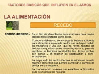 RECEBO
CERDOS IBERICOS.- Es un tipo de alimentación exclusivamente para cerdos
                  ibéricos tanto cruzados como puros.
                  Cuando la dehesa no tiene carga de bellotas suficiente
                  para alimentar a la piara de cerdos que se hayan metido
                  en montanera y una vez que se hayan agotado las
                  bellotas sin que los cerdos hayan llegado a su peso de
                  sacrificio, se terminan poniéndoles las ultimas arrobas
                  con pienso y en régimen de estabulación o semi-
                  estabulación.
                  La mayoría de los cerdos ibéricos se alimentan en este
                  régimen alimenticio que permite aumentar el numero de
                  cerdos en la montanera.
                  La concentración máxima que establece la Normativa
                  es la de 2 cerdos por hectárea
 