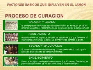 SALAZON Y LAVADO
• El primer proceso después de sacrificar el cerdo, en introducir en sal los
  jamones y paletillas. Posteriormente se lavan para quitar la sal superficial.

          ASENTAMIENTO
• Posteriormente se dejan los jamones en secaderos y lo que favorece la
  deshidratación mientras la sal se va distribuyendo por toda la pieza.

          SECADO Y MADURACION
• El jamón continúa deshidratándose y comienza el sudado por lo que la
  grasa se difunde entre las fibras musculares.

          ENVEJECIMIENTO
• Pasan a bodegas donde permanecen entre 6 y 30 meses. Continúan los
  procesos bioquímicos en los que interviene la flora microbiana
 