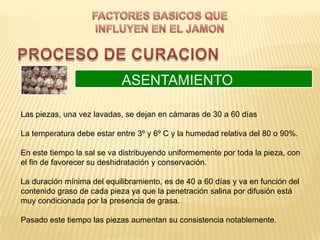 ASENTAMIENTO

Las piezas, una vez lavadas, se dejan en cámaras de 30 a 60 días

La temperatura debe estar entre 3º y 6º C y la humedad relativa del 80 o 90%.

En este tiempo la sal se va distribuyendo uniformemente por toda la pieza, con
el fin de favorecer su deshidratación y conservación.

La duración mínima del equilibramiento, es de 40 a 60 días y va en función del
contenido graso de cada pieza ya que la penetración salina por difusión está
muy condicionada por la presencia de grasa.

Pasado este tiempo las piezas aumentan su consistencia notablemente.
 