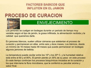 ENVEJECIMIENTO
Los jamones se cuelgan en bodegas durante un periodo de tiempo muy
variable según el tipo de jamón, la grasa infiltrada, la alimentación recibida y la
calidad que queramos darle.

En jamones blancos, suelen utilizar cámaras que adelantan el proceso de
curación y permanecen en ellas entre seis y doce meses. Los ibéricos, desde
un mínimo de 16 meses hasta 48 meses que puede permanecer en bodegas
algunos jamones de bellota.

La temperatura puede oscilar entre los 10º y los 20º C, y la humedad relativa
está entre el 60 y el 80%. El jamón pierde un 35% de su peso en este proceso
En este tiempo continúan los procesos bioquímicos iniciados en la curación y
los que interviene la flora microbiana, que le conferirá su peculiar aroma y
sabor final.
 