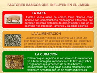 LA RAZA
    • Existen varias razas de cerdos tanto blancos como
     ibéricos con características morfológicas diferentes, que
     permiten distintos sistemas de alimentación y que en su
     sacrificio nos ofrecerán jamones y paletillas distintas

           LA ALIMENTACION
•     La alimentación y manejo del animal va a tener una
    gran repercusión en la calidad del jamón. Es lógico que
    un animal alimentado para que no tenga grasa, dará
    jamones diferentes al que tenga mucha grasa acumulada

              LA CURACION
     • El tiempo que un jamón se conserve en los almacenes
       va a tener una gran importancia en la textura y sabor.
       Los jamones que proceden de cerdos ibéricos,
       normalmente con mas grasa pueden mantenerse mas
       tiempo en secadero que los de cerdos industriales
 