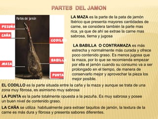 LA MAZA es la parte de la pata de jamón
                                      Ibérico que presenta mayores cantidades de
Pezuña                                carne, se considera también la parte mas
                                      rica, ya que de ahí se extrae la carne mas
Caña                                  sabrosa, tierna y jugosa
                           Codillo
                                        LA BABILLA O CONTRAMAZA es más
                                       estrecha y normalmente más curada y ofrece
                                       poco contenido graso. Es menos jugosa que
                           Babilla     la maza, por lo que se recomienda empezar
Maza                                   por ella el jamón cuando su consumo va a ser
                                       prolongado en el tiempo, de manera de
                            Punta      conservarlo mejor y aprovechar la pieza los
                                       mejor posible.
EL CODILLO es la parte situada entre la caña y la maza y aunque se trata de una
zona muy fibrosa, es asimismo muy sabrosa
LA PUNTA es la parte totalmente opuesta a la pezuña. Es muy sabrosa y posee
un buen nivel de contenido graso.
LA CAÑA se utiliza habitualmente para extraer taquitos de jamón, la textura de la
carne es más dura y fibrosa y presenta sabores diferentes.
 
