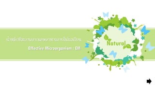 Natural
Effective Microorganism : EM
 