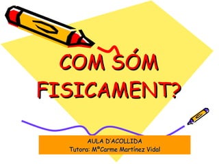 COM SÓM FISICAMENT? AULA D’ACOLLIDA Tutora: MªCarme Martínez Vidal 