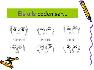 Els ulls  poden ser... 