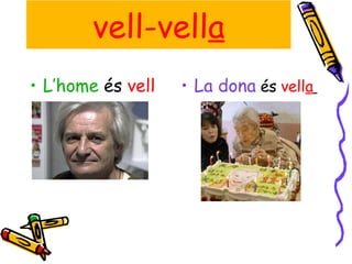 L’home  és  vell La dona   és  vell a   vell-vell a 