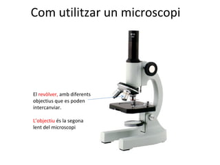 Com utilitzar un microscopi El  revòlver,  amb diferents objectius   que es poden intercanviar. L’objectiu  és la segona lent del microscopi 