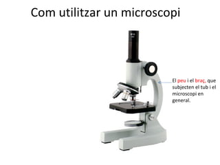 Com utilitzar un microscopi El  peu  i el  braç,  que subjecten el tub i el microscopi en general. 