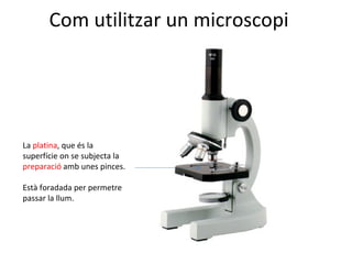 Com Utilitzar Un Microscopi Slide 8