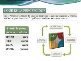 ¿ QUÉ ES LA PERCEPCIÓN?
Es el “proceso” a través del cual un individuo selecciona, organiza y procesa
estímulos, para “interpretar” significativa y coherentemente su entorno.


                                                 INTERPRETACIÓN
  A través del proceso
 perceptual, el individuo
 SELECCIONA         ASOCIA
 EXCLUYE                            ATENCIÓN                      SIGNIFICADO
                  CLASIFICA
 ORGANIZA          ANALIZA
 DISCRIMINA     CONSTRUYE
                                                   RESPUESTA
 