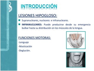LESIONES HIPOGLOSO:
Supranucleares, nucleares e infranucleares.
INFRANUCLEARES: Puede producirse desde su emergencia
bulbar hasta su distribución en los músculos de la lengua.
FUNCIONES MOTORAS:
-Lenguaje
-Masticación
-Deglución.
 