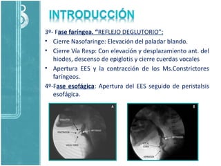 3º- Fase faríngea. “REFLEJO DEGLUTORIO”:
• Cierre Nasofaringe: Elevación del paladar blando.
• Cierre Vía Resp: Con elevación y desplazamiento ant. del
hiodes, descenso de epiglotis y cierre cuerdas vocales
• Apertura EES y la contracción de los Ms.Constrictores
faríngeos.
4º-Fase esofágica: Apertura del EES seguido de peristalsis
esofágica.
 