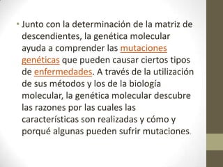 • Junto con la determinación de la matriz de
descendientes, la genética molecular
ayuda a comprender las mutaciones
genéticas que pueden causar ciertos tipos
de enfermedades. A través de la utilización
de sus métodos y los de la biología
molecular, la genética molecular descubre
las razones por las cuales las
características son realizadas y cómo y
porqué algunas pueden sufrir mutaciones.

 