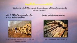 วัสดุที่ใช้ในการแกะสลักไม้
ไม้สัก เป็นไม้ที่นิยมใช้ในการแกะสลักมากที่สุด
เพราะมีผิวละเอียดและลายไม้สวย
ไม้ชิงชัน เป็นไม้ที่นิยมมากเช่นเดียวกัน
ไม้ คือวัสดุที่ใช้มากที่สุดไม้ที่ใช้ในการแกะสลักมีอยู่หลายชนิดแต่ละชนิดให้ลักษณะที่แตกต่างกันออกไป
ตามสีสันและลวดลายของไม้
(http://www.teak-teca.com/2010/07/18/teak-
thailand-ไม้สักไทย/)
(http://news.sanook.com/1553865/)
 