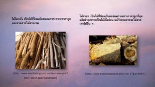 ไม้โมกมัน เป็นไม้ที่นิยมกันพอสมควรเพราะราคาถูก
และลวดลายไม้สวยงาม
ไม้ฉาฉา เป็นไม้ที่นิยมกันพอสมควรเพราะราคาถูกที่สุด
ผลิตง่ายเพราะเป็นไม้เนื้ ออ่อน แม้ว่าลวดลายจะไม่สวย
เท่าไม้อื่น ๆ
(http://www.siamfishing.com/content/view.php?
nid=13044&cat=handmade)
(http://www.thaiwoodproduct.com/?p=17&a=5981)
 