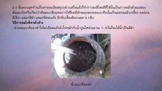 2.5 ขั้นตอนสุดท้ายเก็บลายละเอียดทุกอย่างเสร็จแล้วก็ทาการลงสีโดยสีที่ใช้นั้นเป็นการหมักด้วยผลของ
ต้นมะเก๋อหรือเรียกว่าต้นมะเกลือแทนการใช้สีเคมีลักษณะของผลมะเกลือนั้นเป็นผลกลมผิวเกลี้ยง ผลอ่อน
สีเขียว ผลแก่สีดา ผลแก่จัดจะแห้ง มีกลีบเลี้ยงติดบนผล 4 กลีบ
วิธีการหมักสีทาตัวช้าง
-นาผลมะเกลือมาตาให้ละเอียดแล้วนาไปหมักกับน้าปูนใสประมาณ 1-3วันก็จะได้น้าเป็นสีดา
น้ามะเกลือหมัก
 