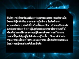 ใบงานCom 2 8