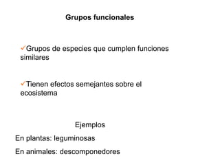 Grupos funcionales
Grupos de especies que cumplen funciones
similares
Tienen efectos semejantes sobre el
ecosistema
Ejemplos
En plantas: leguminosas
En animales: descomponedores
 