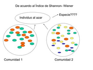 Individuo al azar
Especie????
Comunidad 1 Comunidad 2
De acuerdo al Índice de Shannon- Wiener
 