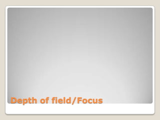 Depth of field/Focus
 