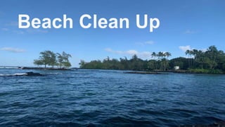 Beach Clean Up
 