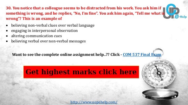 essay about my happiness city kanpur