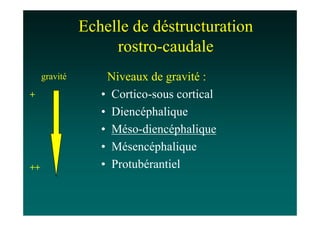 Echelle de déstructuration
                    rostro-caudale
     gravité       Niveaux de gravité :
+                 • Cortico-sous cortical
                  • Diencéphalique
                  • Méso-diencéphalique
                  • Mésencéphalique
++                • Protubérantiel
 