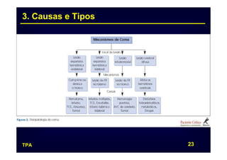 3. Causas e Tipos




TPA                 23
 