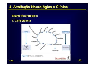 4. Avaliação Neurológica e Clínica

 Exame Neurológico:
 1. Consciência




TPA                                  36
 