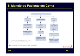 5. Manejo do Paciente em Coma




TPA                             60
 