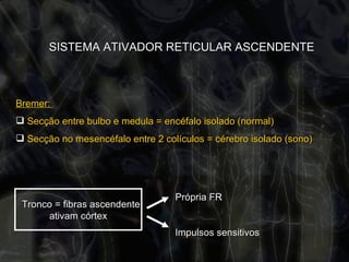 SISTEMA ATIVADOR RETICULAR ASCENDENTE Bremer:  Secção entre bulbo e medula = encéfalo isolado (normal) Secção no mesencéfalo entre 2 colículos = cérebro isolado (sono) Tronco = fibras ascendente  ativam córtex Própria FR Impulsos sensitivos 