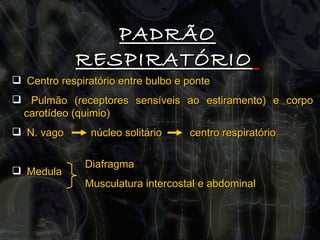 PADRÃO RESPIRATÓRIO   Centro respiratório entre bulbo e ponte Pulmão (receptores sensíveis ao estiramento) e corpo carotídeo (quimio) N. vago    núcleo solitário   centro respiratório Medula  Diafragma Musculatura intercostal e abdominal 
