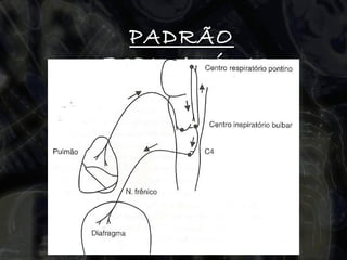 PADRÃO RESPIRATÓRIO   