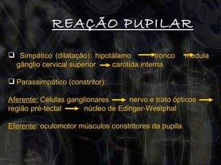 REAÇÃO PUPILAR Simpático (dilatação): hipotálamo  tronco  medula  gânglio cervical superior  carótida interna Parassimpático (constritor):  Aferente:  Células ganglionares  nervo e trato ópticos  região pré-tectal  núcleo de Edinger-Westphal Eferente : oculomotor músculos constritores da pupila 