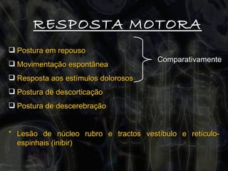 RESPOSTA MOTORA Postura em repouso Movimentação espontânea  Resposta aos estímulos dolorosos Postura de descorticação Postura de descerebração * Lesão de núcleo rubro e tractos vestíbulo e retículo-espinhais (inibir) Comparativamente 