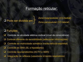 Formação reticular:   Pode ser dividida em:  Funções:  Controle da atividade elétrica cortical (nível de consiciência) Controle eferente da sensibilidade (selecionar informações) Controle da motricidade somática (tracto-retículo-espinhal) Controle do SNA (SL e hipotálamo) Controle neuroendócrino (ACTH e ADH) Integração de reflexos (vasomotor e centro respiratório) Zona magnocelular (2/3 medial) Zona parvocelular (1/3 lateral) 