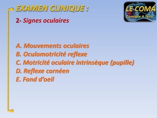 2- Signes oculaires

A. Mouvements oculaires
B. Oculomotricité reflexe
C. Motricité oculaire intrinsèque (pupille)
D. Reflexe cornéen
E. Fond d’oeil

 