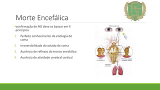 Morte Encefálica
confirmação de ME deve se basear em 4
princípios
1. Perfeito conhecimento da etiologia do
coma
2. Irreversibilidade do estado de coma
3. Ausência de reflexos do tronco encefálico
4. Ausência de atividade cerebral cortical
 