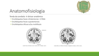 Anatomofisiologia
Tenda do cerebelo → divisor anatômico
 Encefalopatias focais infratentoriais → FRAA
 Encefalopatias focais supratentoriais
 Encefalopatias difusas e/ou multifocais
 