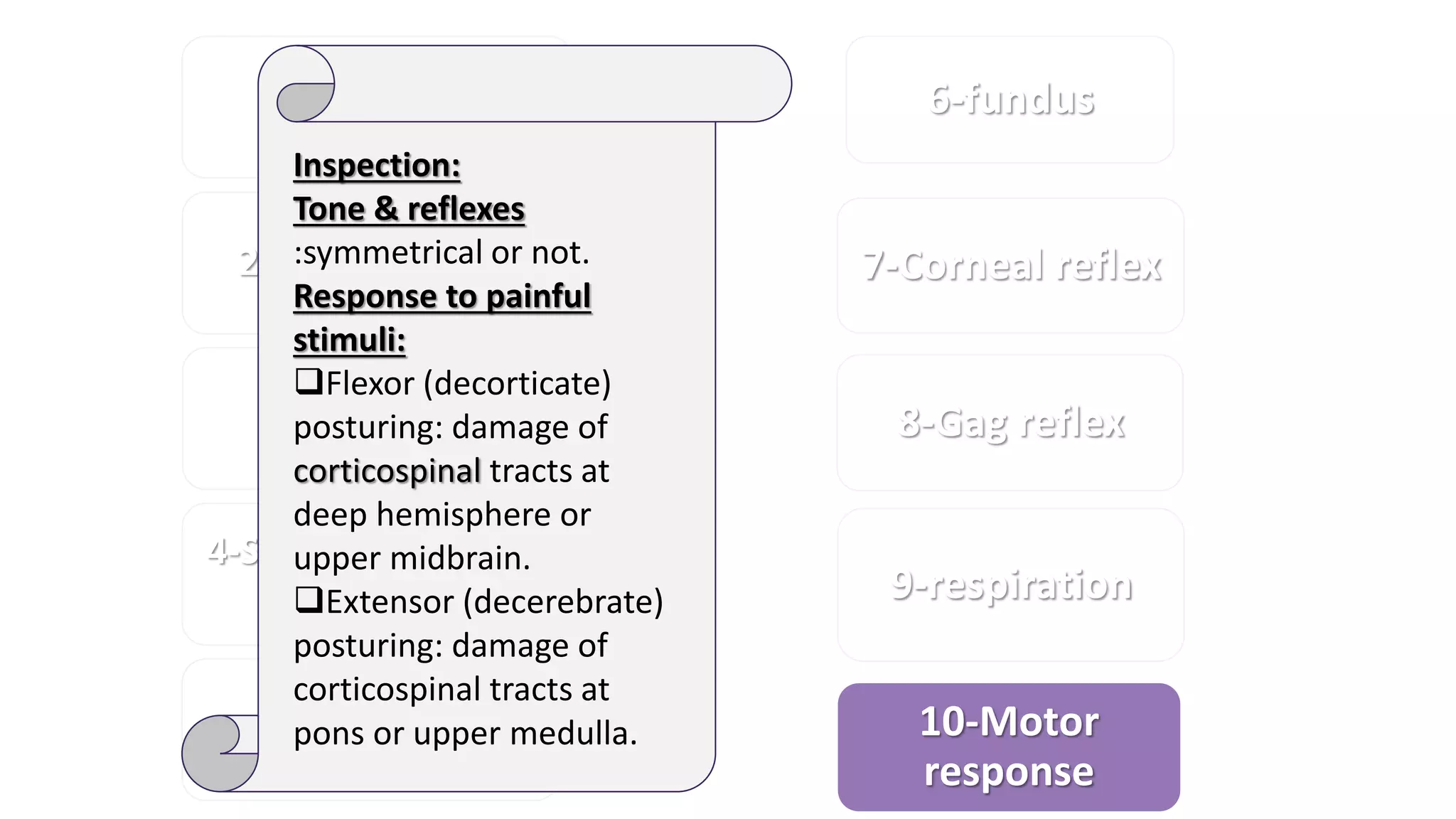 1-General
appearance
2-Level of coma
3-pupil
4-Sign of meningeal
irritation
5-Ocular
movement
6-fundus
7-Corneal reflex
8-Gag reflex
9-respiration
10-Motor
response
Inspection:
Tone & reflexes
:symmetrical or not.
Response to painful
stimuli:
Flexor (decorticate)
posturing: damage of
corticospinal tracts at
deep hemisphere or
upper midbrain.
Extensor (decerebrate)
posturing: damage of
corticospinal tracts at
pons or upper medulla.
 