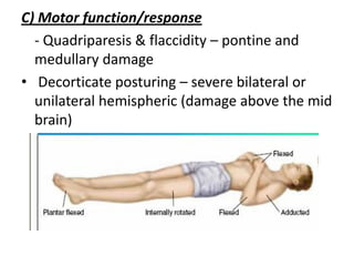 Coma.pdf