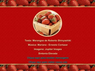 Texto: Morangos de Roberto Shinyashiki
  Música: Mariana - Ernesto Cortazar
       Imagens: Jupiter Images
           Sintonia Elevada
 Clique aqui para receber mensagens
   Clique aqui para visitar nosso site
 