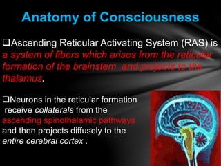 Definitions, and approach to Coma | PPTX