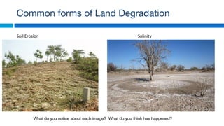 Soil Erosion
Common forms of Land Degradation
Salinity
What do you notice about each image? What do you think has happened?
 