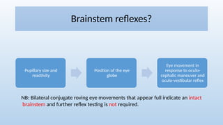Coma and Brainstem Death, a lecture to undergraduate students | PPTX