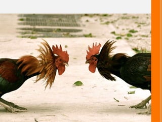 Et, si la discussion dérape
 