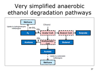 Very simplified anaerobic
ethanol degradation pathways
37
 