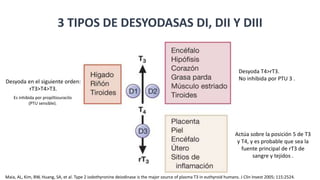 3 TIPOS DE DESYODASAS DI, DII Y DIII
Desyoda en el siguiente orden:
rT3>T4>T3.
Es inhibida por propiltiouracilo
(PTU sensible).
Desyoda T4>rT3.
No inhibida por PTU 3 .
Actúa sobre la posición 5 de T3
y T4, y es probable que sea la
fuente principal de rT3 de
sangre y tejidos .
Maia, AL, Kim, BW, Huang, SA, et al. Type 2 iodothyronine deiodinase is the major source of plasma T3 in euthyroid humans. J Clin Invest 2005; 115:2524.
 
