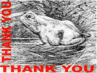 coma muhamed adly.ppt